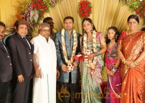Thambi Ramaiah Daughter Wedding Reception Gallery  photo 9