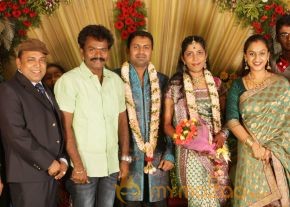 Thambi Ramaiah Daughter Wedding Reception Gallery  photo 19