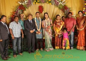 Thambi Ramaiah Daughter Wedding Reception Gallery  photo 2