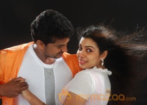 THAVANI KAATRU TAMIL MOVIE PICTURES photo 11