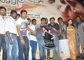 Theriyama Unna Kadhalichiten Audio Launch  photo 6