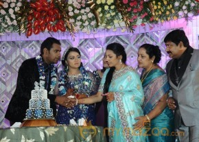 TR Omana Grand Daughter Wedding Photos photo 9