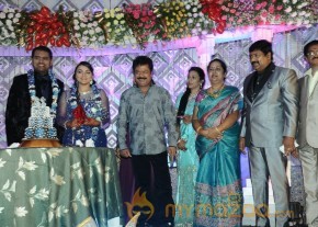 TR Omana Grand Daughter Wedding Photos photo 32