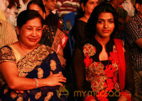 V4 Entertainers Film Awards 2013 photo 2