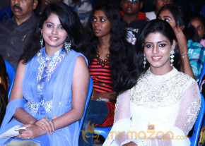 V4 Entertainers Film Awards 2013 photo 14