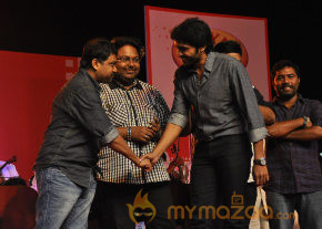V4 Entertainers Film Awards 2013 photo 4
