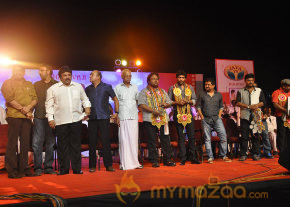 V4 Entertainers Film Awards 2013 photo 10