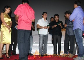 Valebaraja Audio Launch Photos photo 9