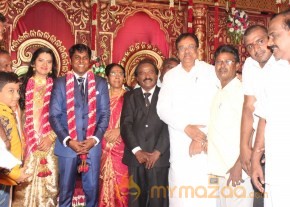 Vasanthakumar Son Wedding Reception Stills photo 17