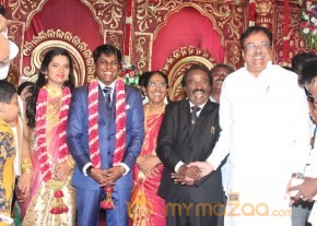 Vasanthakumar Son Wedding Reception Stills photo 19