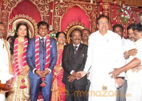 Vasanthakumar Son Wedding Reception Stills photo 20