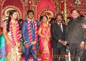 Vasanthakumar Son Wedding Reception Stills