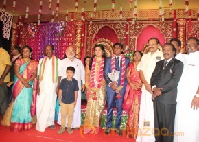Vasanthakumar Son Wedding Reception Stills photo 8
