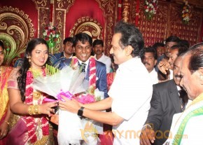 Vasanthakumar Son Wedding Reception Stills photo 13