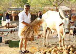 Veeram Movie New Stills_Ajith New Photos photo 14