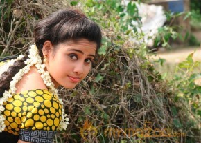 Veeratthiruvila Movie Stills photo 3