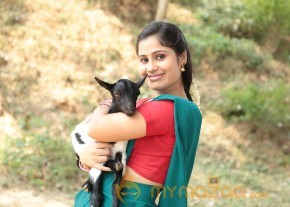 Veeratthiruvila Movie Stills photo 13