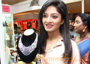 Vimala Raman At Trendz Life Style Expo2014 photo 67