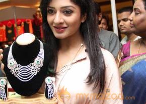 Vimala Raman At Trendz Life Style Expo2014 photo 32