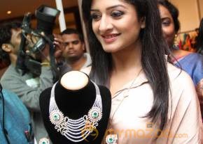 Vimala Raman At Trendz Life Style Expo2014 photo 73