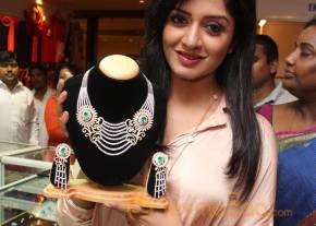 Vimala Raman At Trendz Life Style Expo2014 photo 53