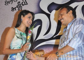 Virattu Movie Audio Launch  photo 24