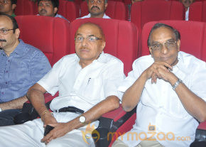 Ya Ya Movie Audio Launch  photo 10