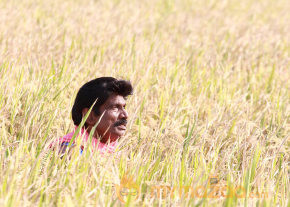 49 O Tamil Movie Stills  photo 4