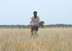 Aadukalam Latest Movie Stills photo 8