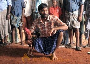 Aadukalam Latest Movie Stills