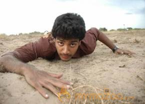 Appavi working stills  photo 22