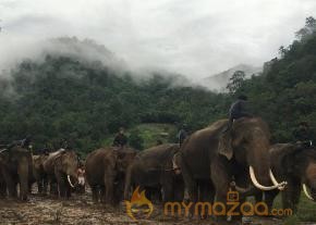 Arya Kadamban Movie Latest Stills photo 6