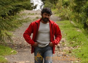 Avan Aval New Tamil Movie Stills photo 15