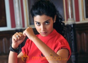 Chikku Bukku Movie Stills photo 4