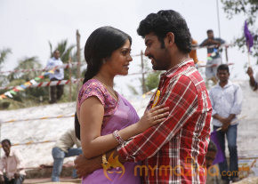 Desingu Raja Movie New Stills  photo 43