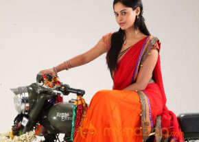 Desingu Raja Movie New Stills  photo 16