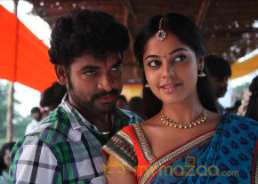 Desingu Raja Movie Stills  photo 27