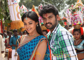 Desingu Raja Movie Stills  photo 24
