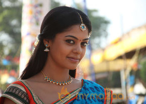 Desingu Raja Movie Stills  photo 62