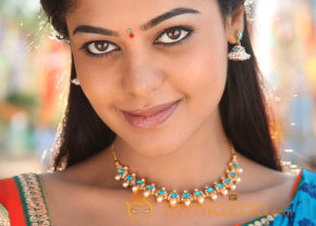Desingu Raja Movie Stills  photo 72