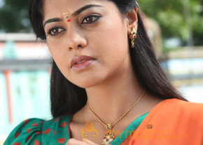 Desingu Raja Movie Stills  photo 5