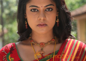 Desingu Raja Movie Stills  photo 28