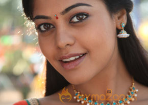 Desingu Raja Movie Stills  photo 43