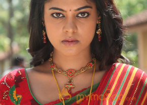Desingu Raja Movie Stills  photo 29