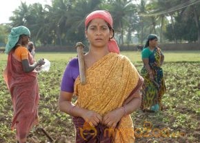 Gnana Kirukkan Movie Stills  photo 36