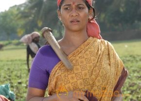 Gnana Kirukkan Movie Stills  photo 13