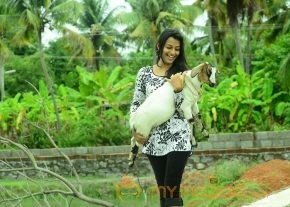 Kadhal Theeyai Kaiyil Edu Movie Stills  photo 23
