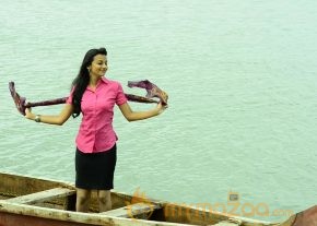 Kadhal Theeyai Kaiyil Edu Movie Stills  photo 13