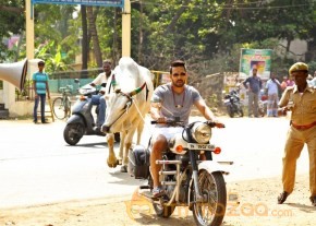 Kadugu Movie Latest Stills