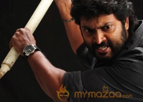 Kathukutti Movie New Photoshoot Stills photo 12